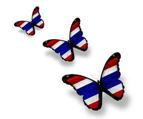 Three Thai flag butterflies, isolated on white