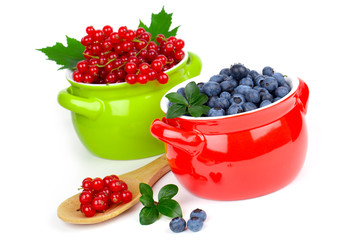 delicious red currant and blueberry, isolated on white backgroun