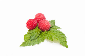 Raspberry with leaves on white background