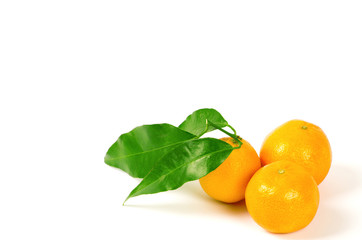 Tangerines with green leaves isolated on white