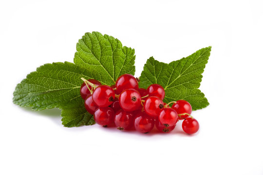 red currants with leaf isolated on white