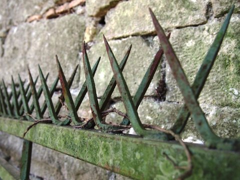 Zaunspitzen