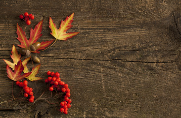 Autumn Leaves over wooden background