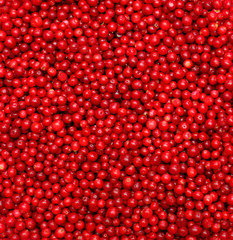Red berries, food background