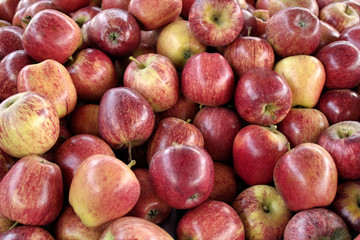 Apples