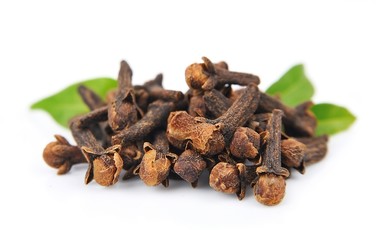 Carnation (spices) isolated