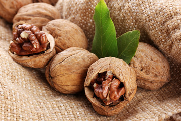 walnuts with green leaves, on burlap background