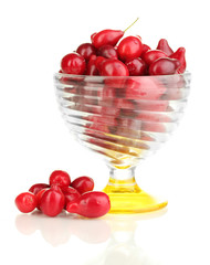 fresh cornel berries in glass bowl isolated on white