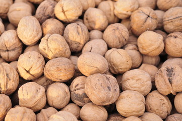 walnut