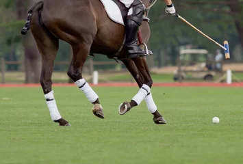 Store enrouleur tamisant Léquitation Polo Rider aiming for the ball