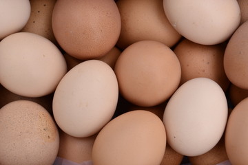 eggs