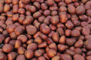 chestnut