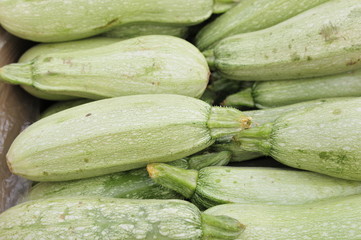 squash
