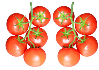 tomatoes bunch