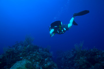 Scuba diver, swimmnig down, Cuba