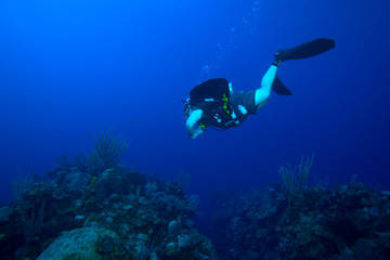 Obraz premium Scuba diver, swimmnig down, Cuba