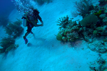 Diver with fine boyancy, Cuba