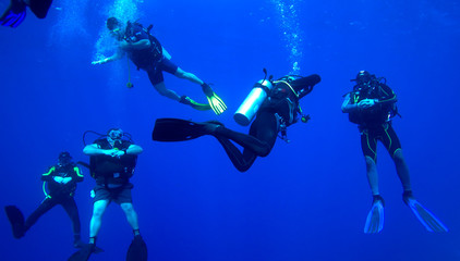 Group of divers on 5-min safety stop, Cuba