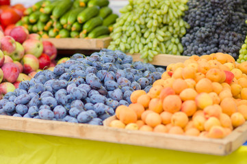 Plums, apricots, appless, cucumbers, grapes in city market