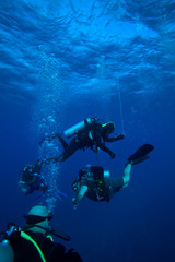 Naklejka na ściany i meble Group of divers on 5-min safety stop, Cuba