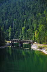 Forest, Meadow, Bridge, Lake