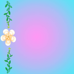 Flower of frame on color background