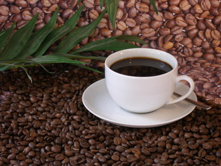Tasse Kaffee auf Kaffeebohnenfond