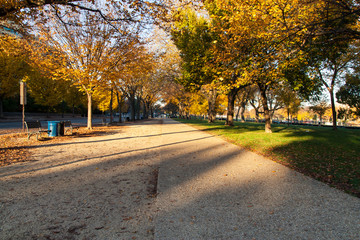 Obraz premium Autumn in Washington