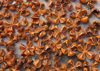 persimmon is drying