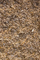 Background of wood shavings.Biomass fuels.