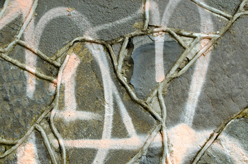 Closeup graffiti paint masonry concrete retro wall