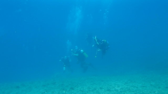 Learning to Scuba Dive