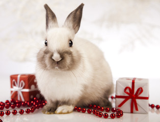Christmas bunny