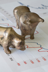 Bär und Bulle - Börse