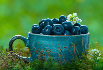 Blueberries in a blue cup