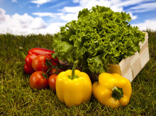 Vegetable and fitness in green grass