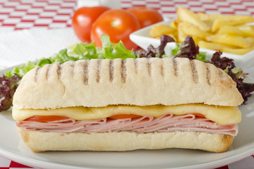 Ham & Cheese Toastie: Cheese, ham & tomato panini. Fries & Salad