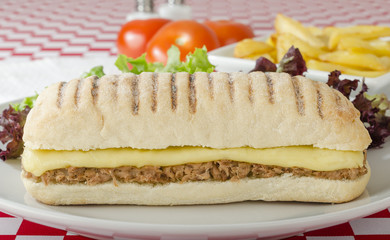 Tuna Melt - Cheese and tuna panini served with salad and chips.