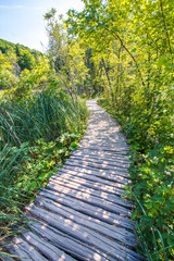 Traversata sul ponte