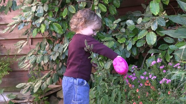 enfant arosant les fleurs
