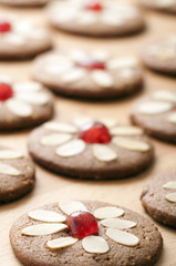 Different Shapes of Gingerbread Cookies