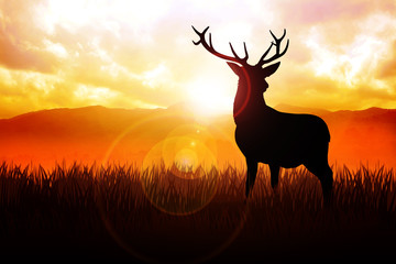 Silhouette illustration of a deer on meadow during sunrise