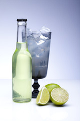 Alcohol drinks set with fruit