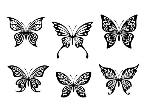 Black butterfly tattoos and silhouettes