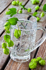 Bierglas und Hopfen