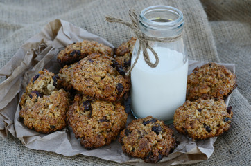 Oatmeal cookies and bottle of milk on canvas background