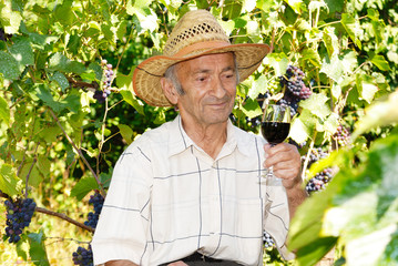 Senior viticulturist