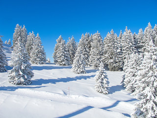 Skiing slope