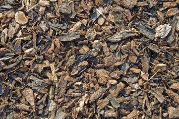 Rindenmulch