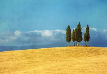 Fotobehang vintage Toscaanse landschap © javarman